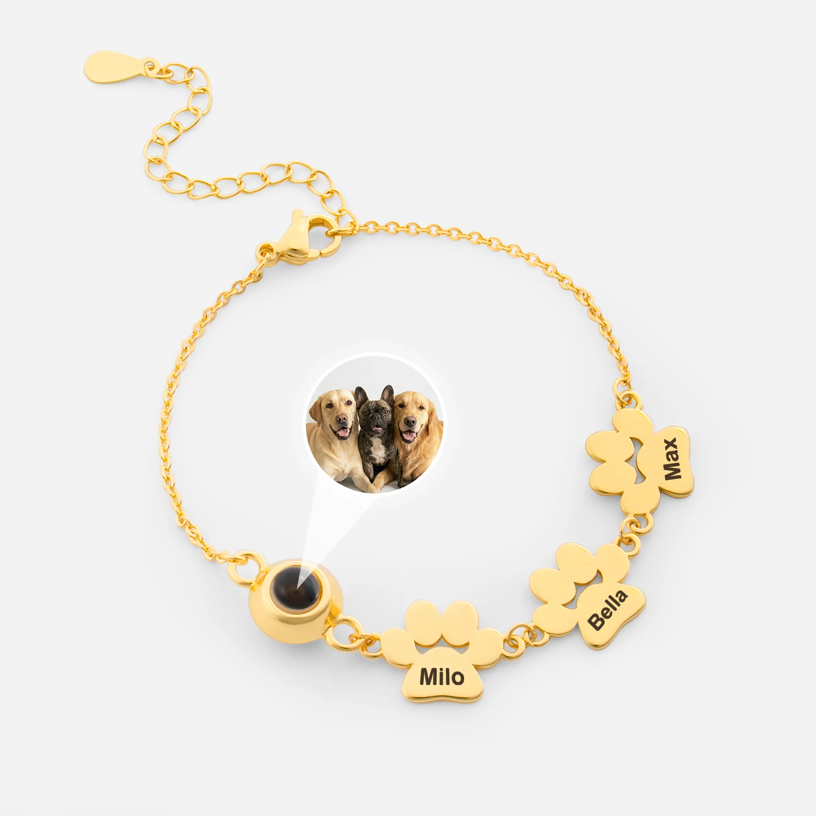 Bracelet Personnalisé - Mon Joli Chat/Chien
