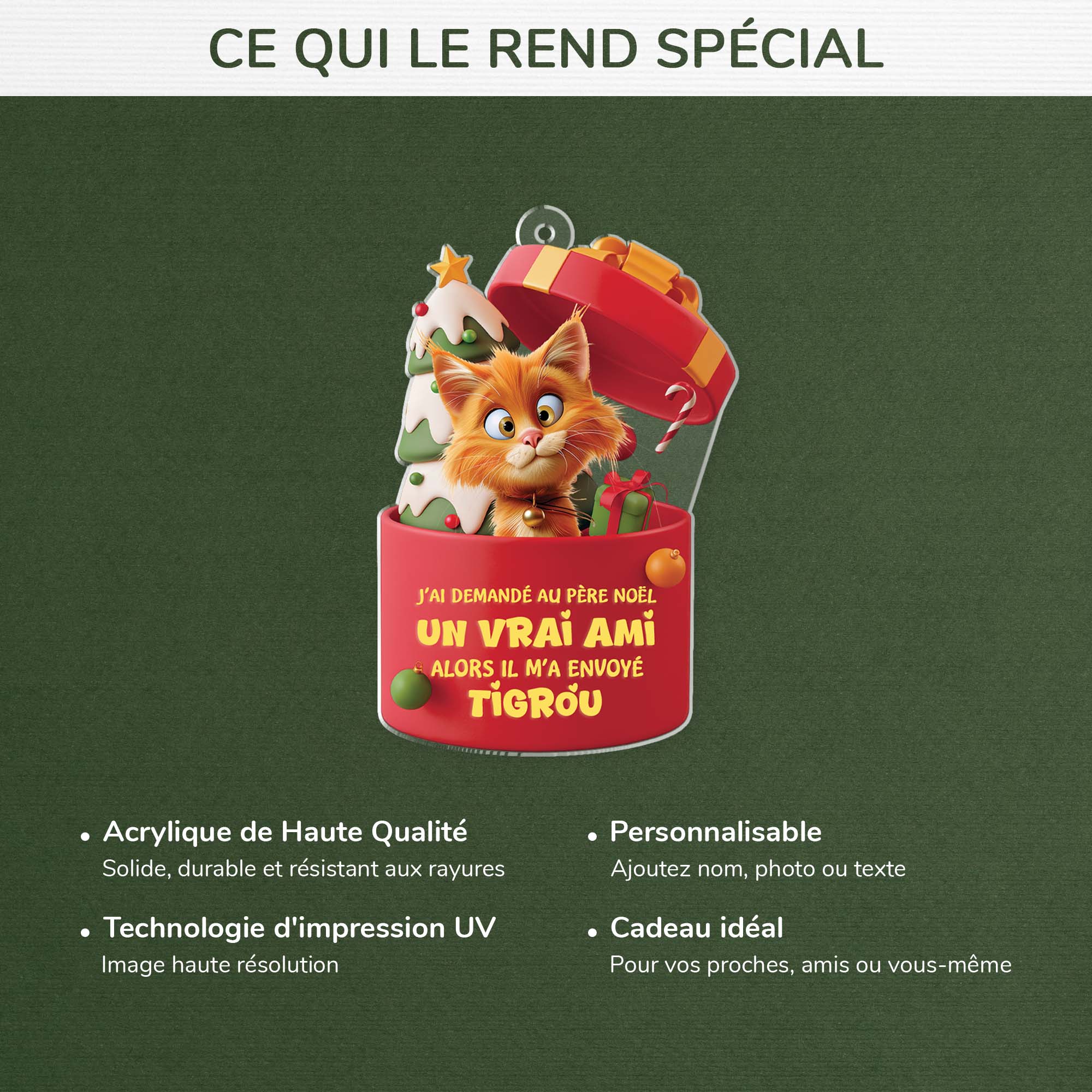 [Effet d'impression 3D] Ornement Acrylique Personnalisé - Père Noël A Envoyé Un Chat - Image 4