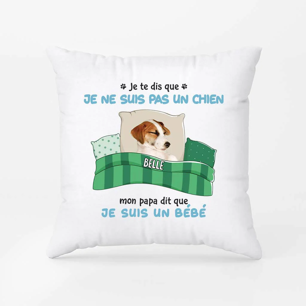 Je Te Dis Que Je Ne Suis Pas Un Chat - Coussin Chat Personnalisé - Image 2