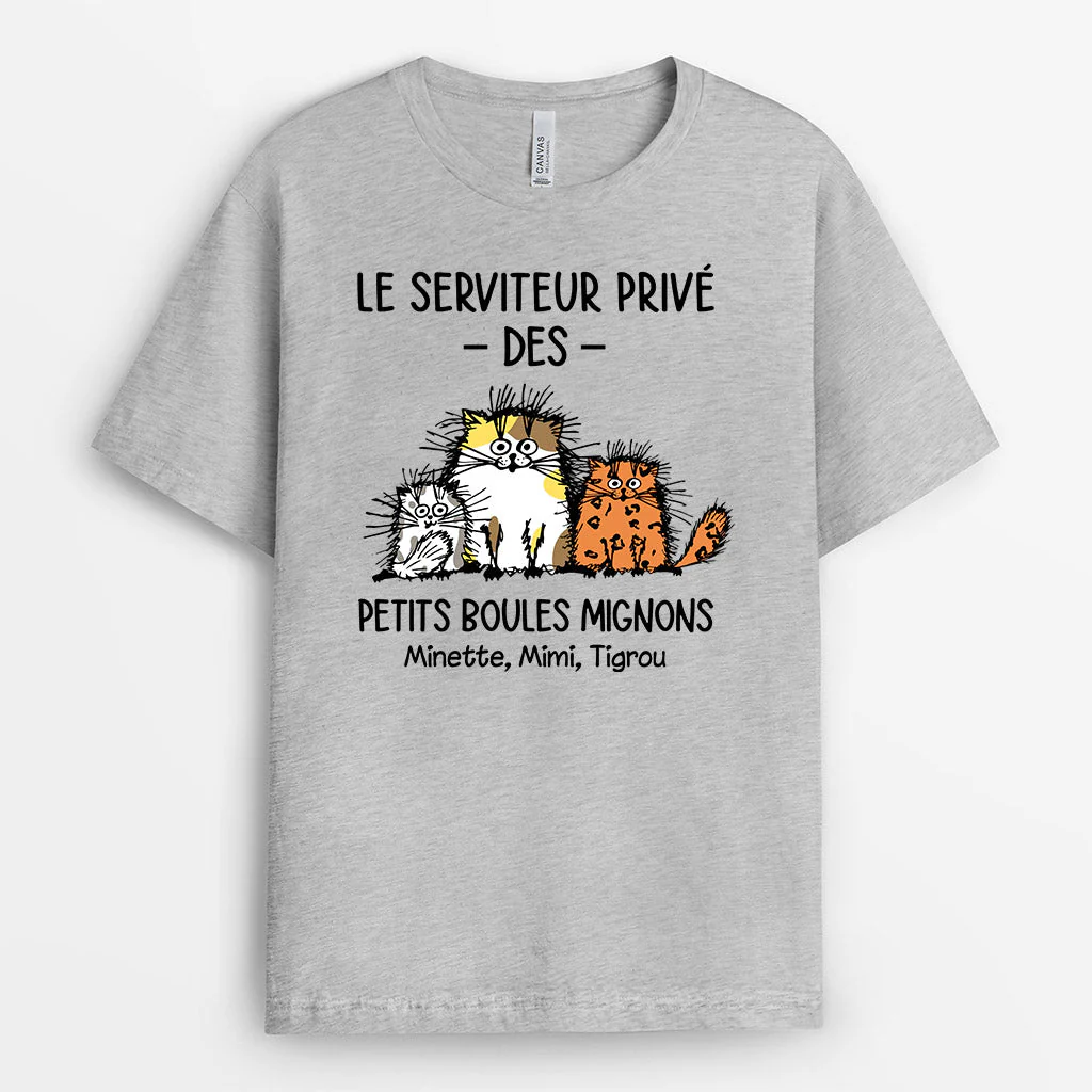 T Shirt Personnalisé Avec Chat - Le Serviteur Privé Des Petites Boules Migonnes