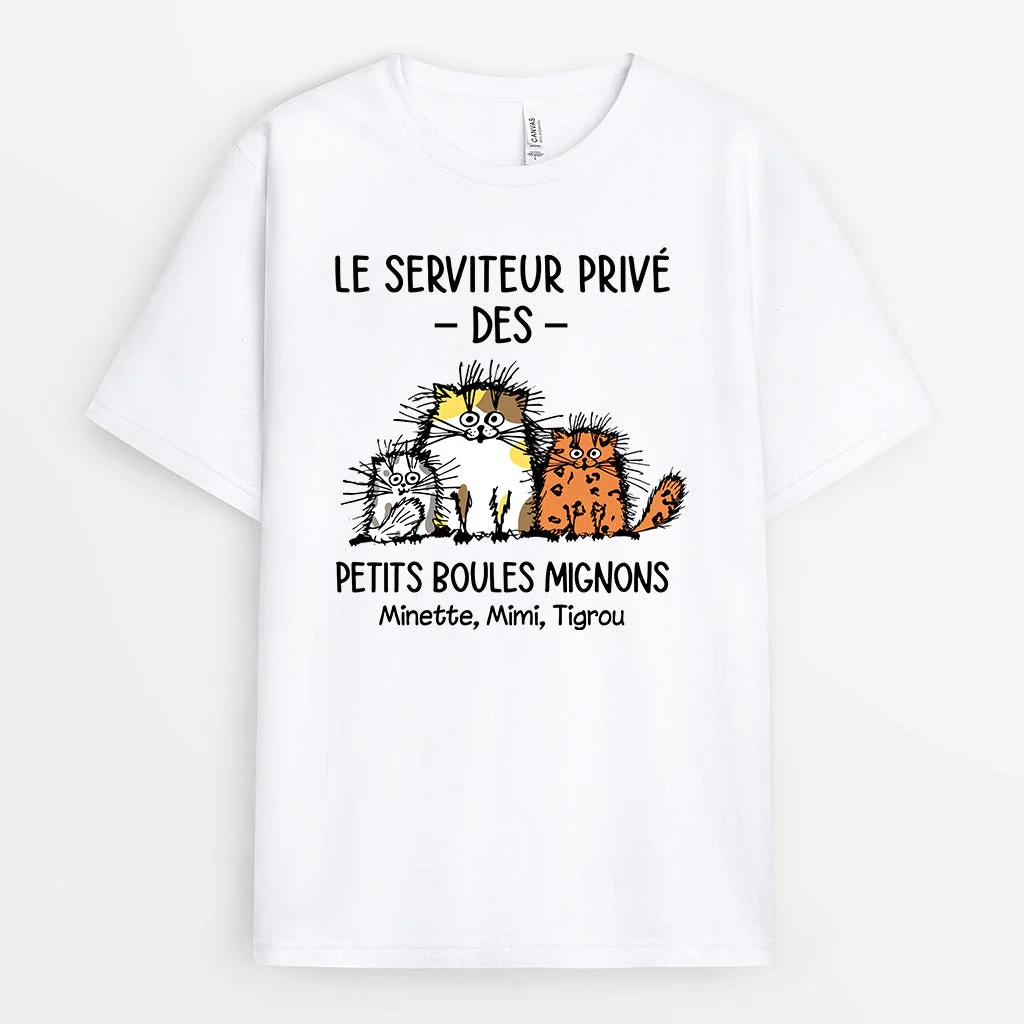 T Shirt Personnalisé Avec Chat - Le Serviteur Privé Des Petites Boules Migonnes - Image 2