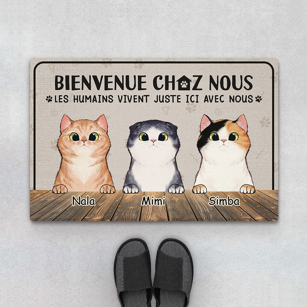 Paillasson Chat Personnalisé - Bienvenue Chez Nous - Chat Classique