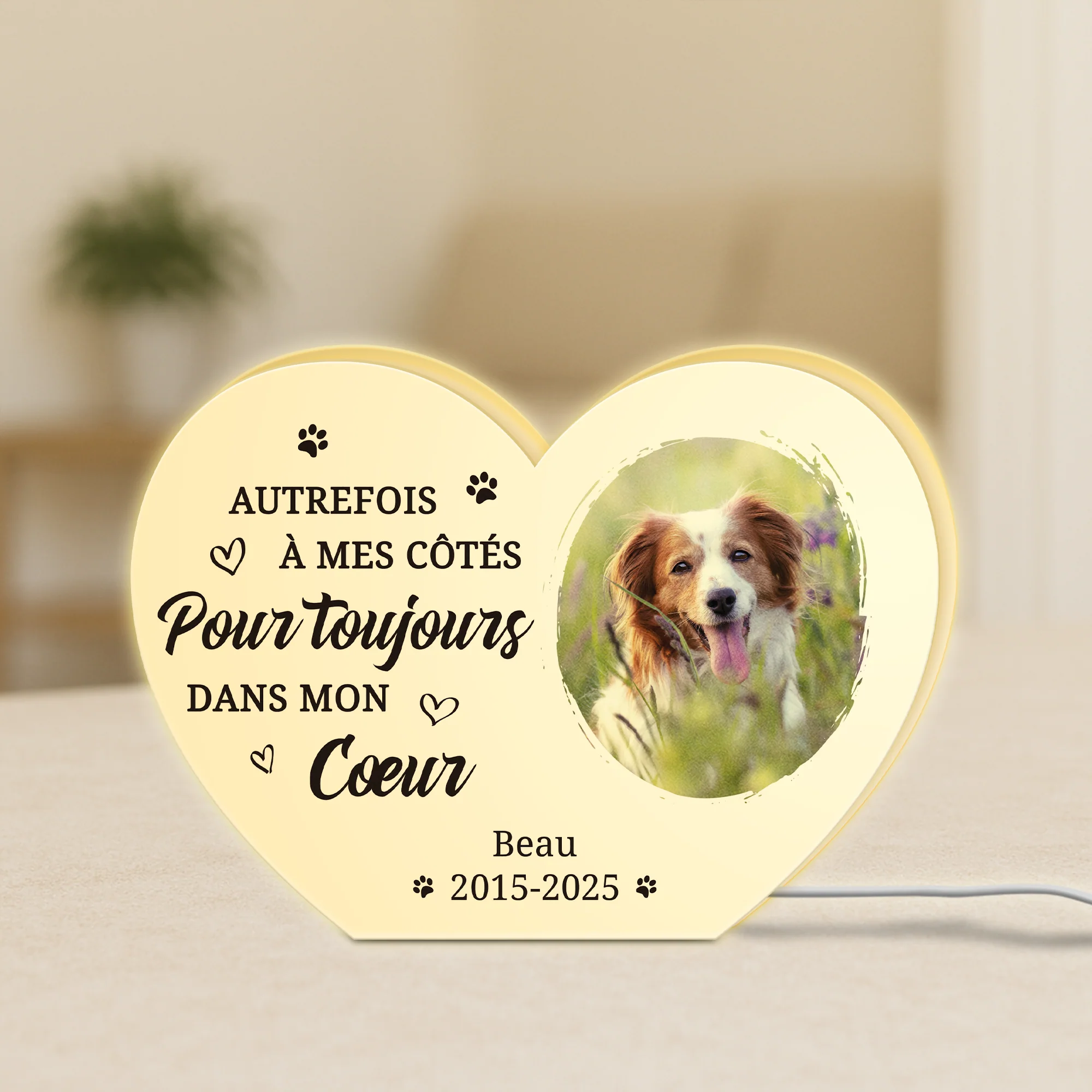 Lightbox Personnalisable - Toujours Dans Mon Cœur - Cadeau Commémoratif Chien