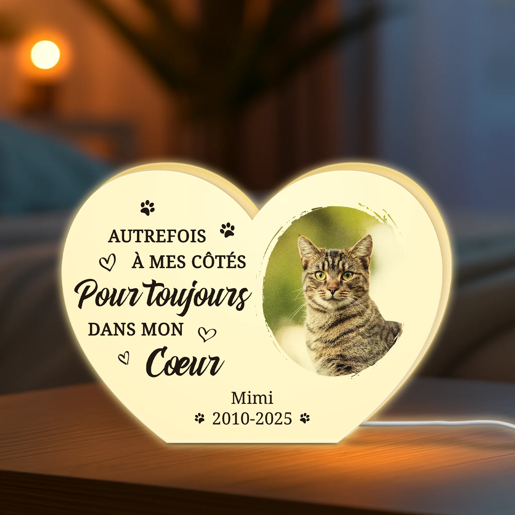 Lightbox Personnalisable - Toujours Dans Mon Cœur - Cadeau Commémoratif Chien - Image 2