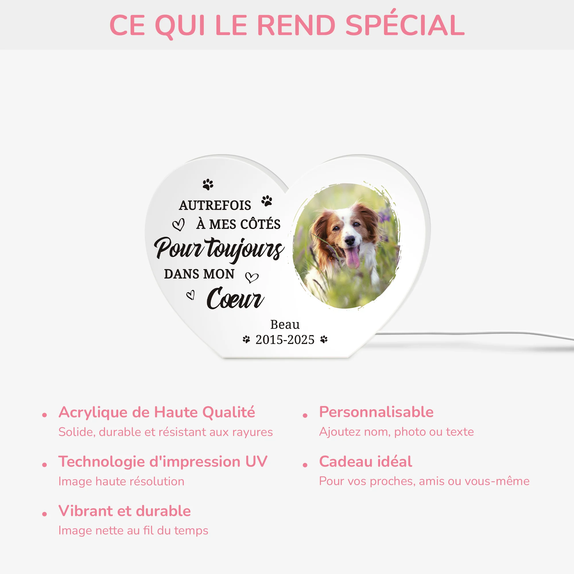 Lightbox Personnalisable - Toujours Dans Mon Cœur - Cadeau Commémoratif Chien - Image 4