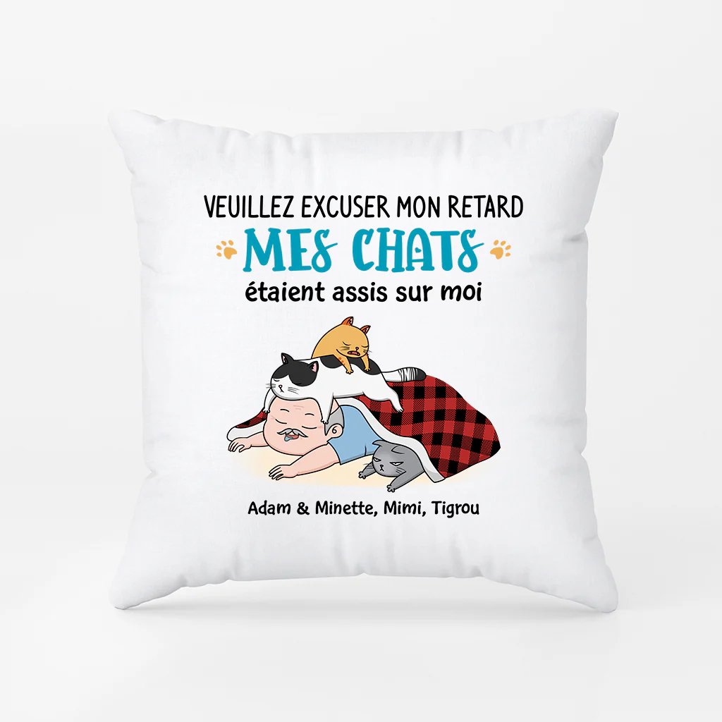 Mes Chats Étaient Assis Sur Moi - Coussin Motif Chat Personnalisé - Image 2