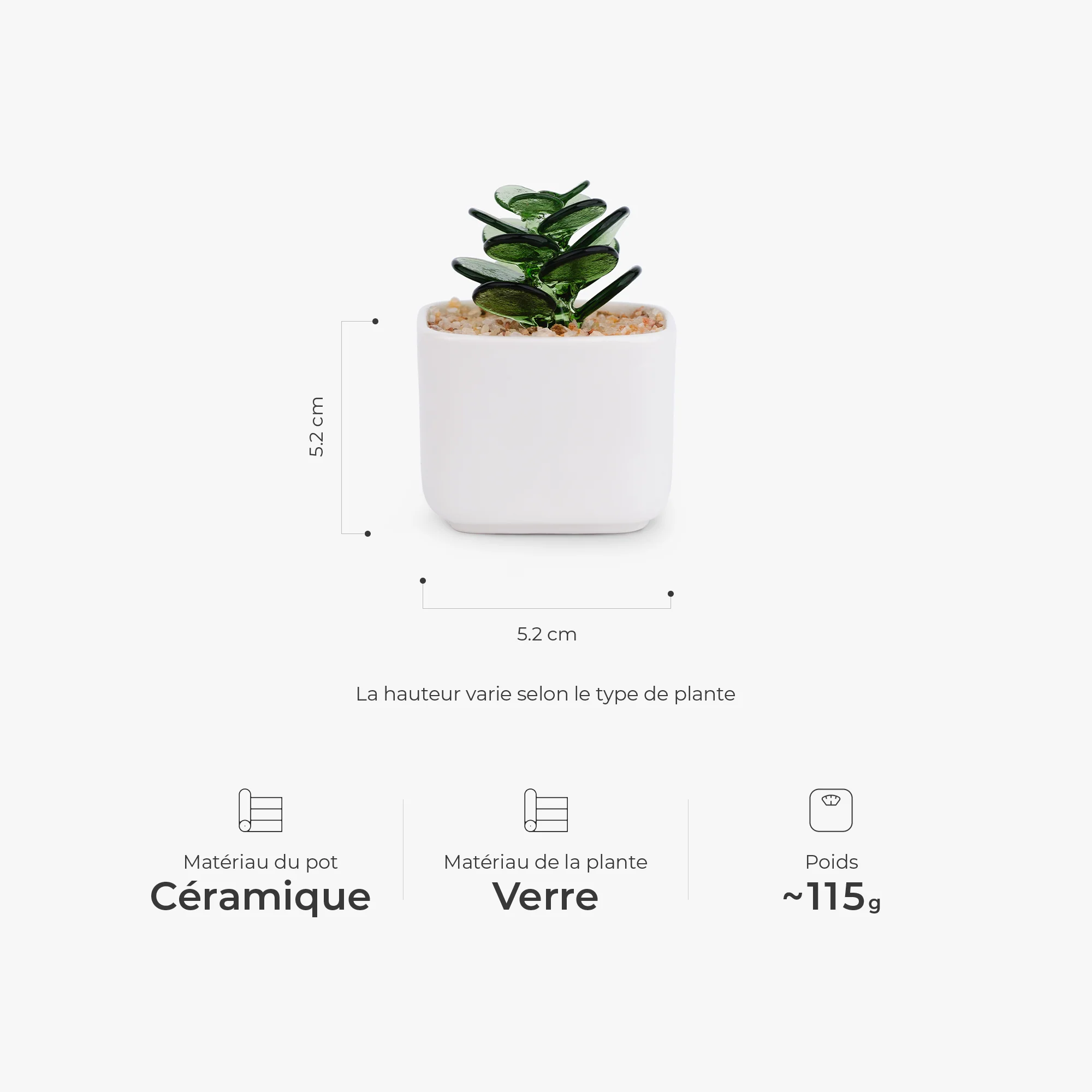 Mini Plante En Verre Artisanale Avec Pot - Cadeau Décoration Femme - Image 3