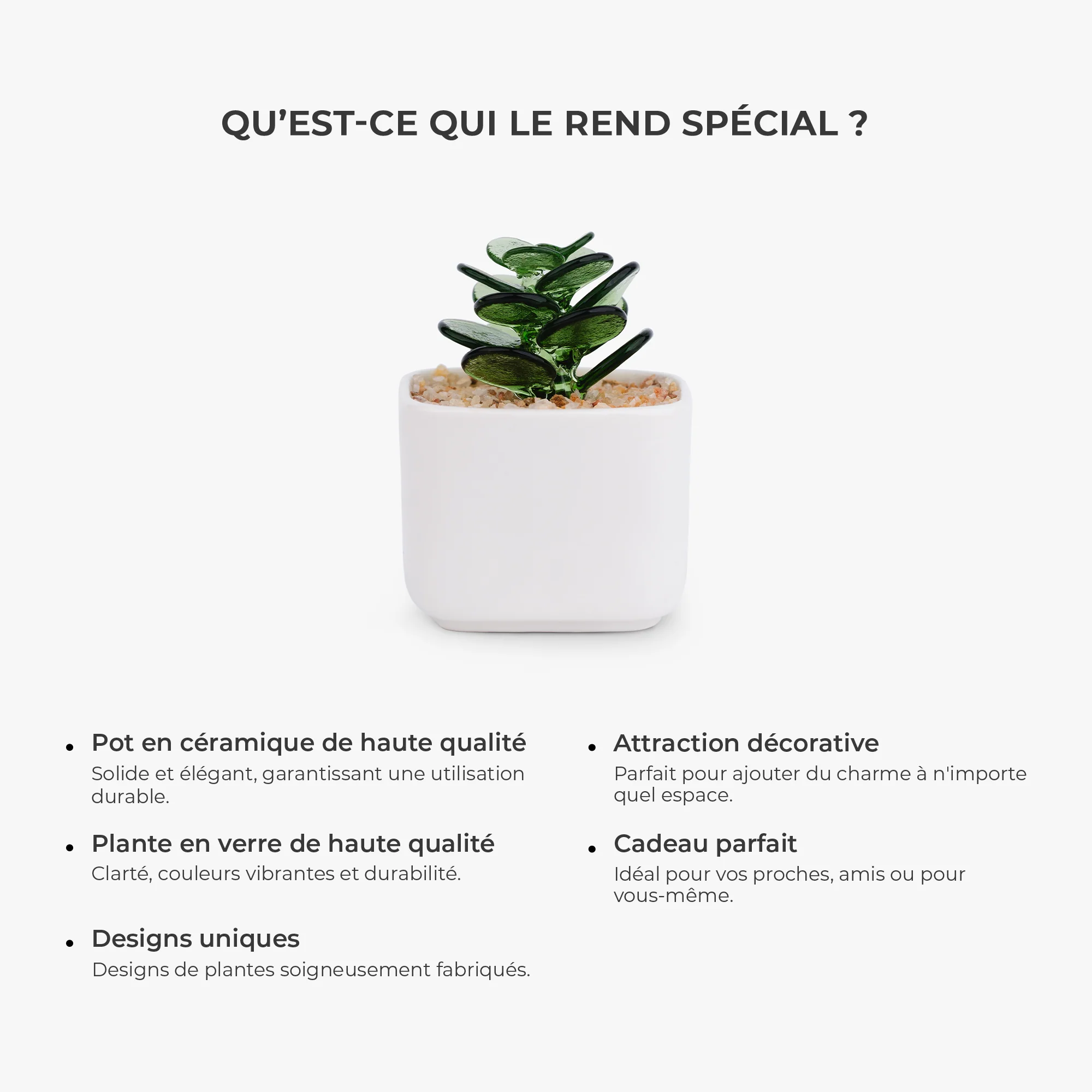 Mini Plante En Verre Artisanale Avec Pot - Cadeau Décoration Femme - Image 5