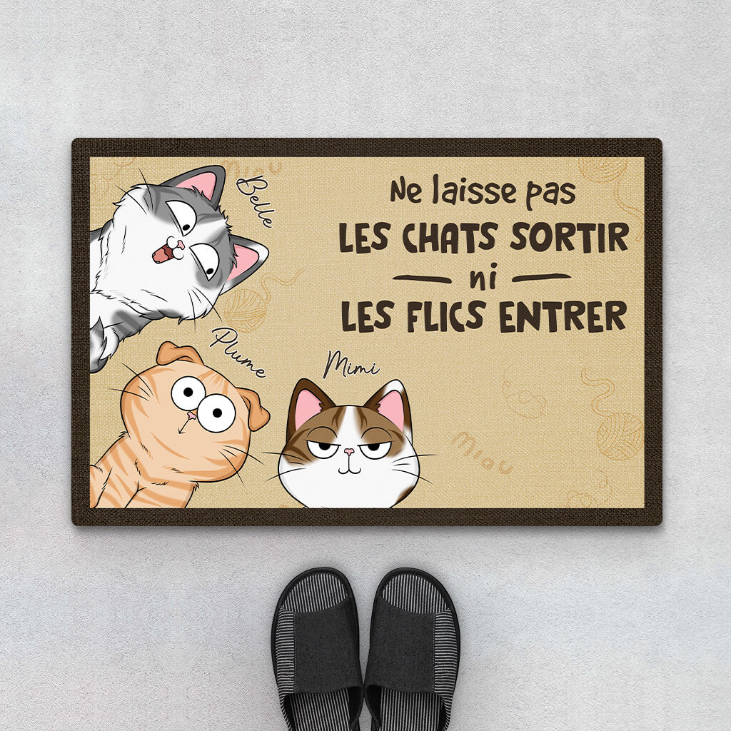 Paillasson Chat Personnalisé - Ne Pas Laisser Sortir Son Chat