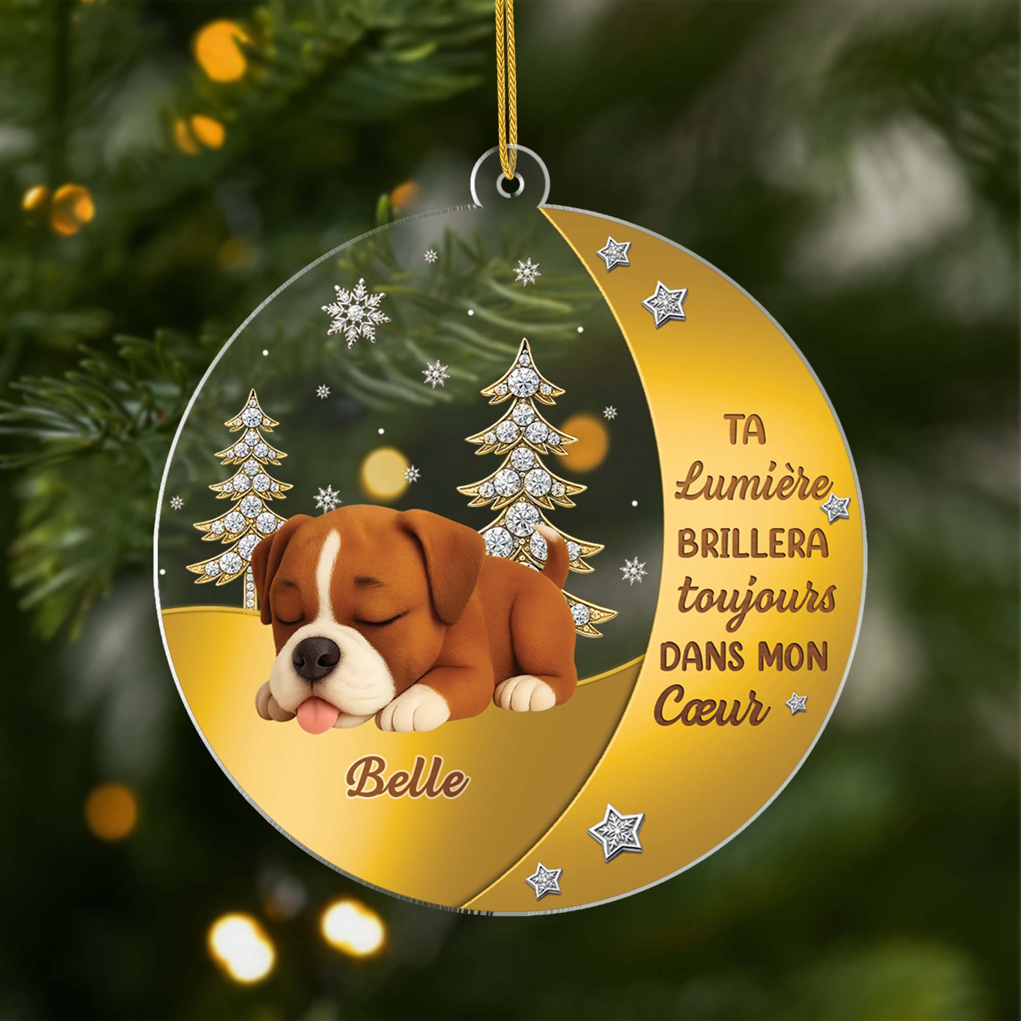 Ornement Acrylique Personnalisé Commémoratif Pour Chien - Ta Lumière Brillera Toujours
