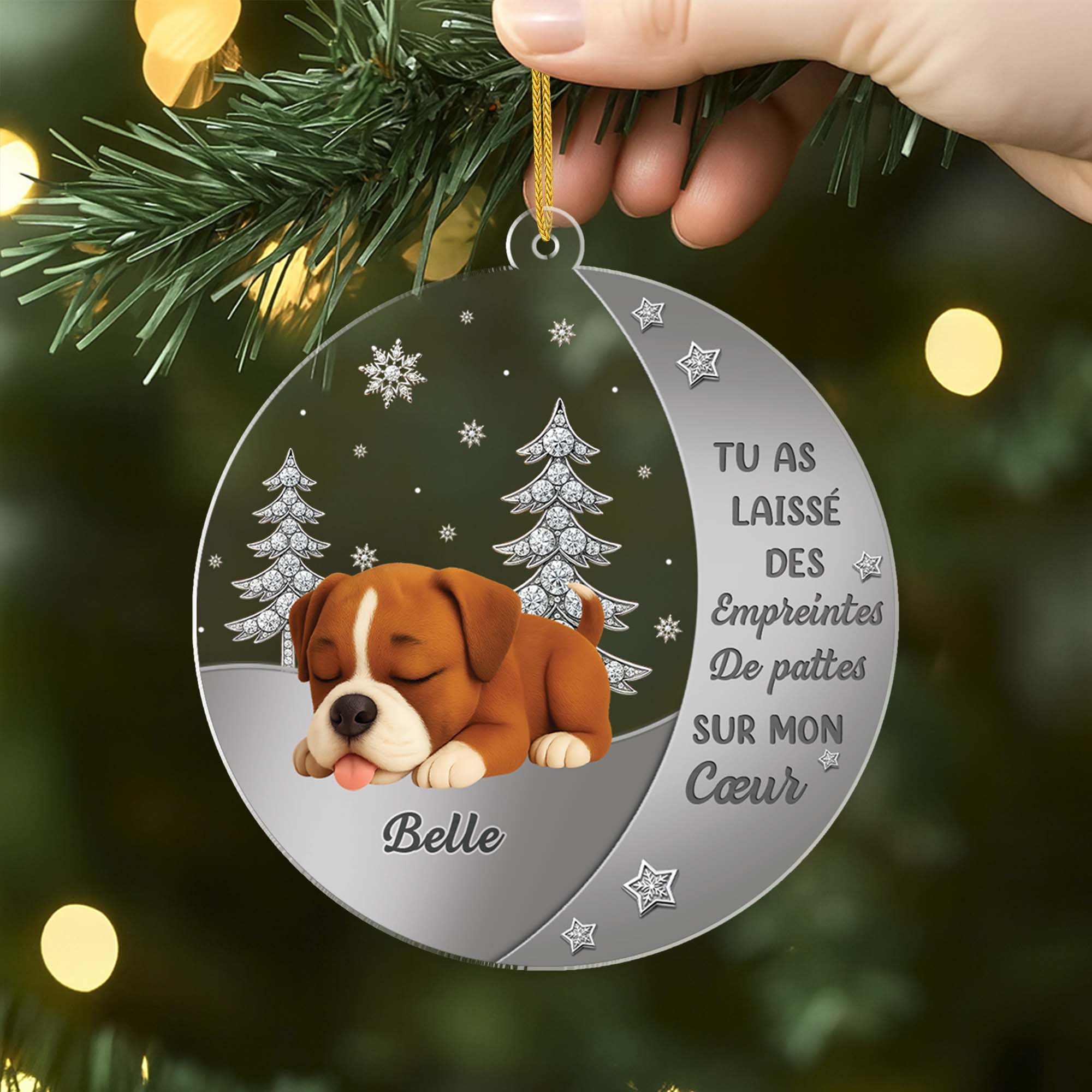 Ornement Acrylique Personnalisé Commémoratif Pour Chien - Ta Lumière Brillera Toujours - Image 2