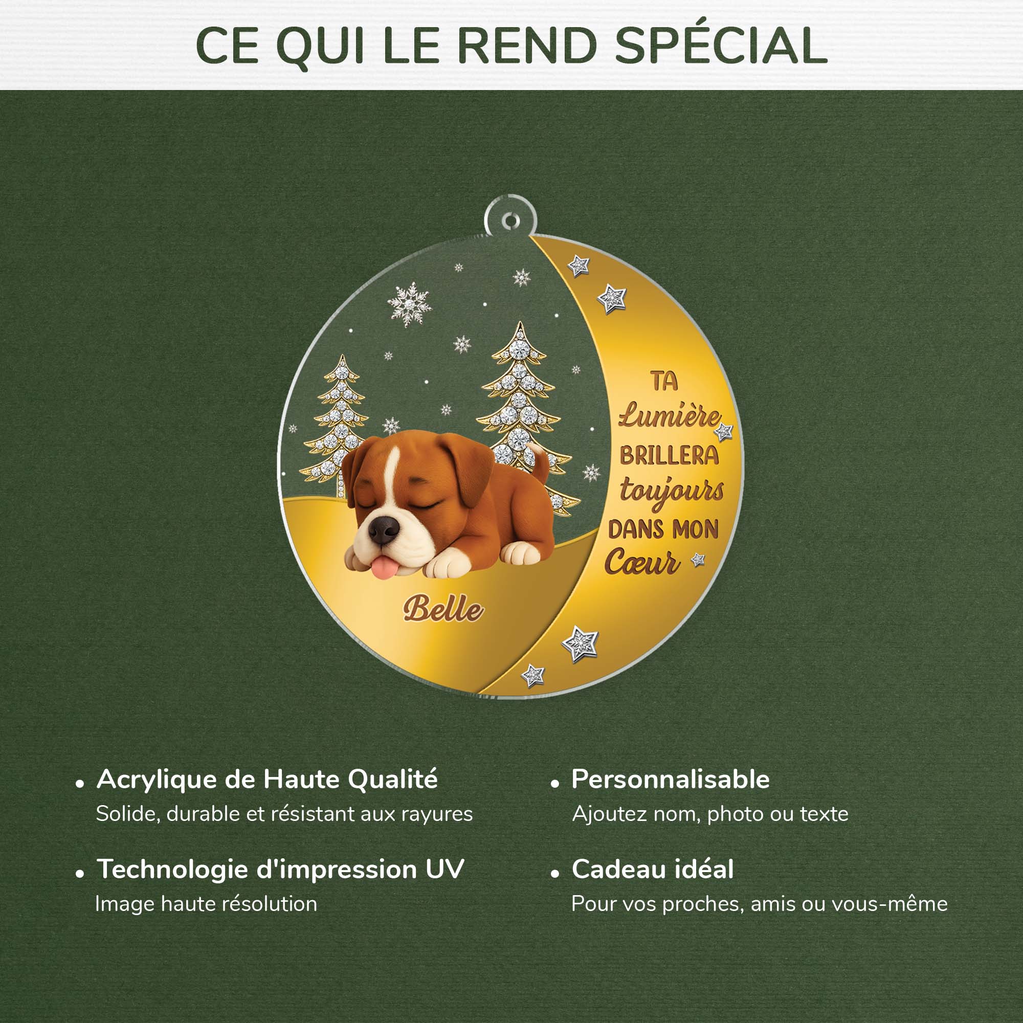 Ornement Acrylique Personnalisé Commémoratif Pour Chien - Ta Lumière Brillera Toujours - Image 4