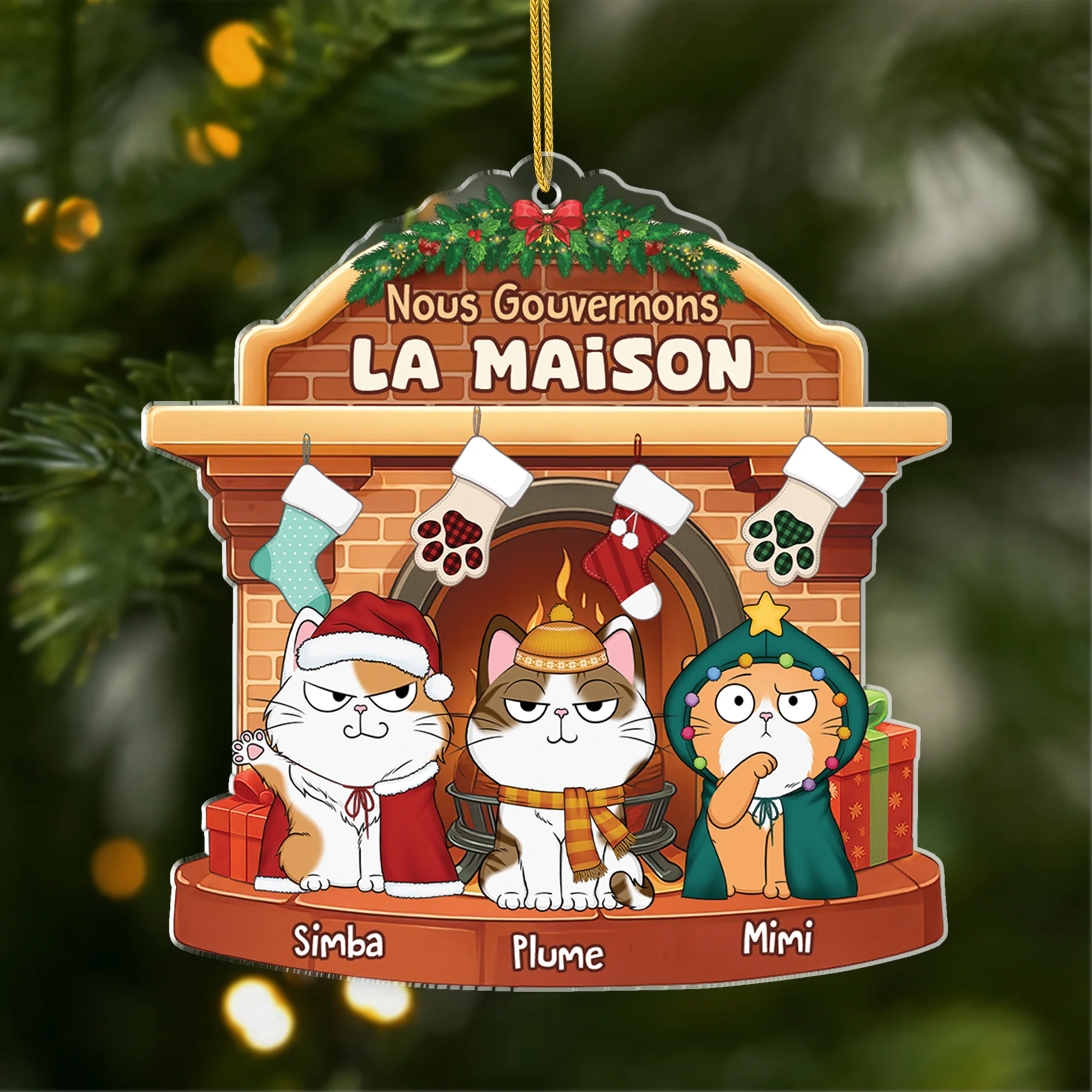 Ornement de Noël Personnalisé Chat Acrylique - Nous Gouvernons la Maison