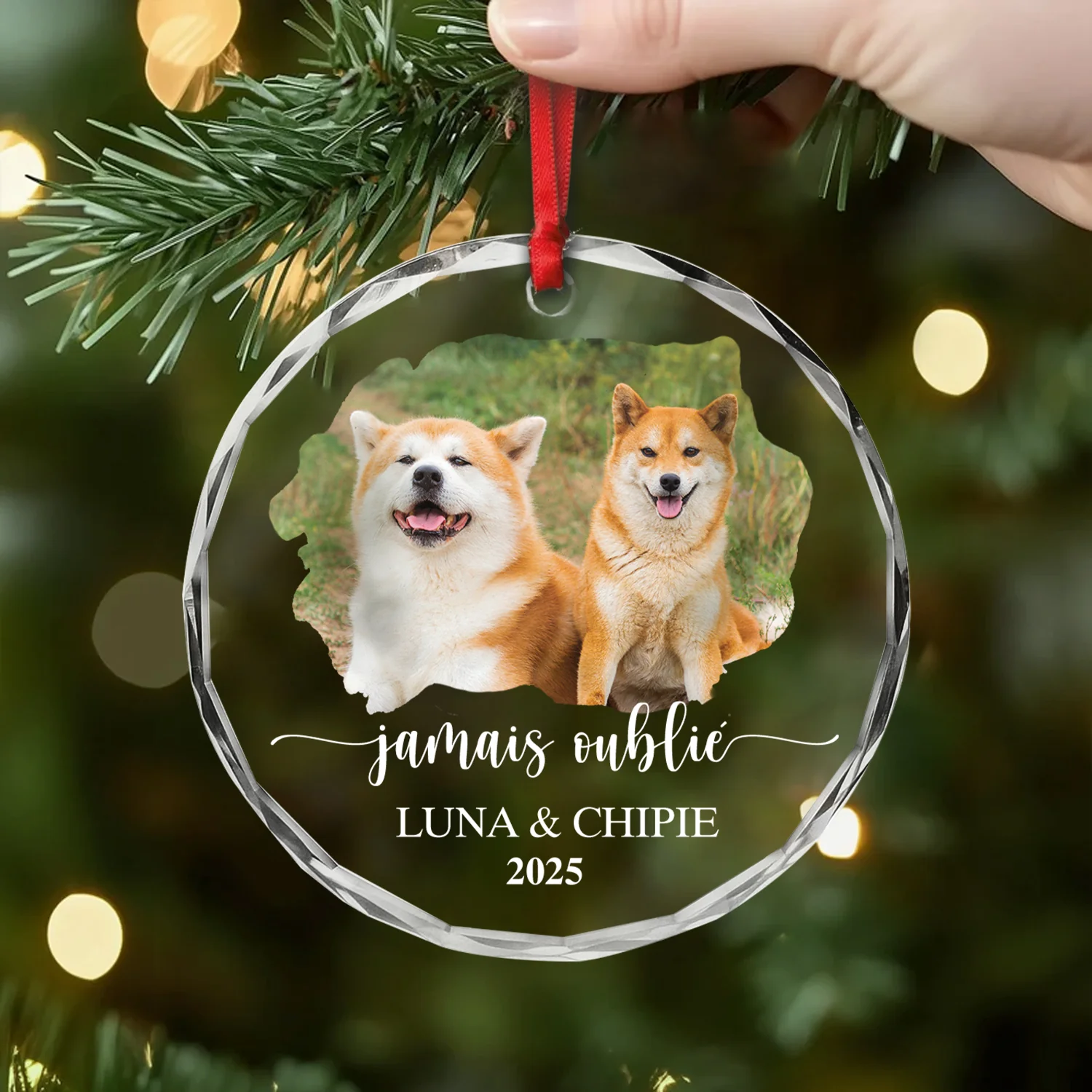 Ornement En Verre Personnalisé Chien Photo - Aimé Pour Toujours - Image 2