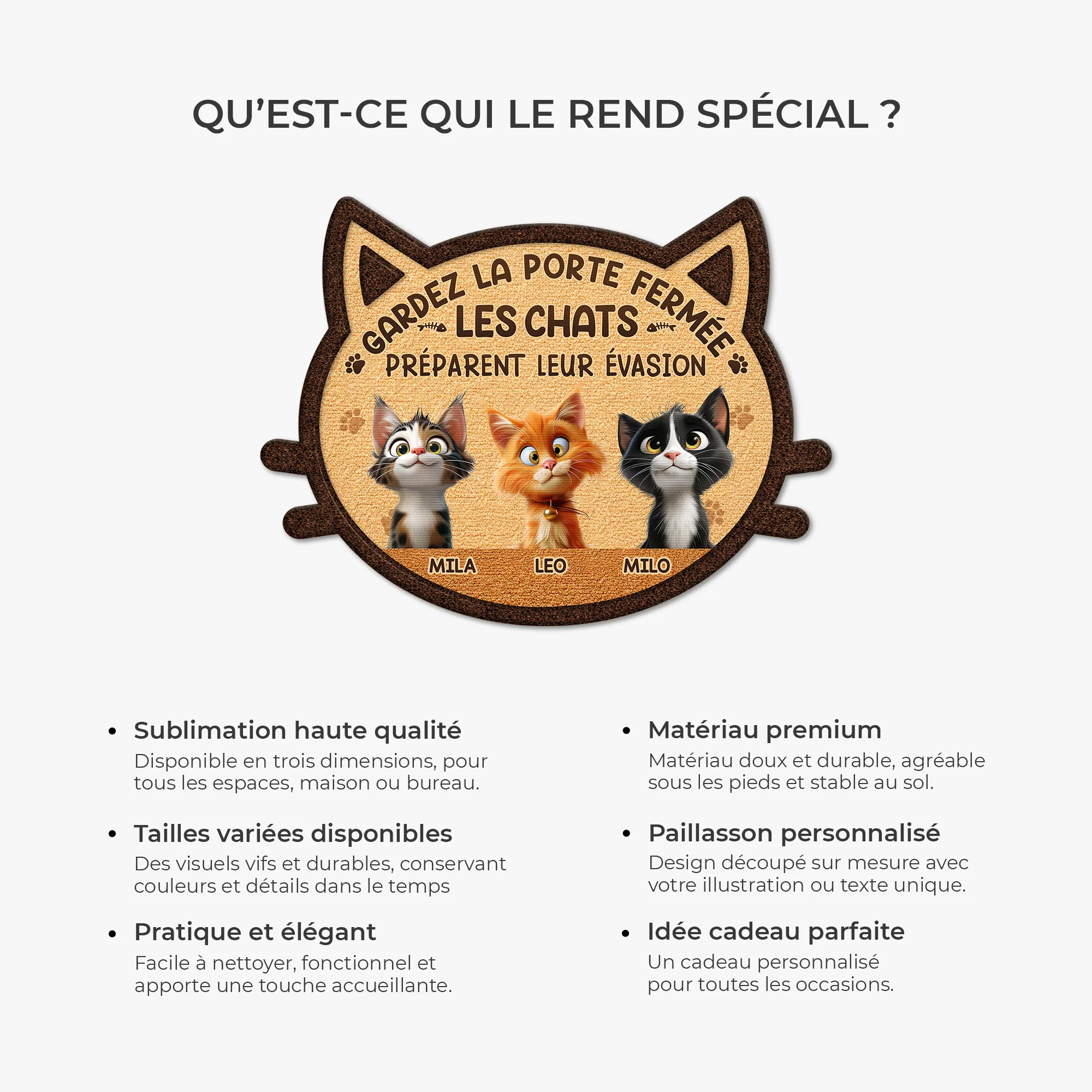 Paillasson Chat Personnalisé À Forme Découpée - Gardez La Porte Fermée - Image 6