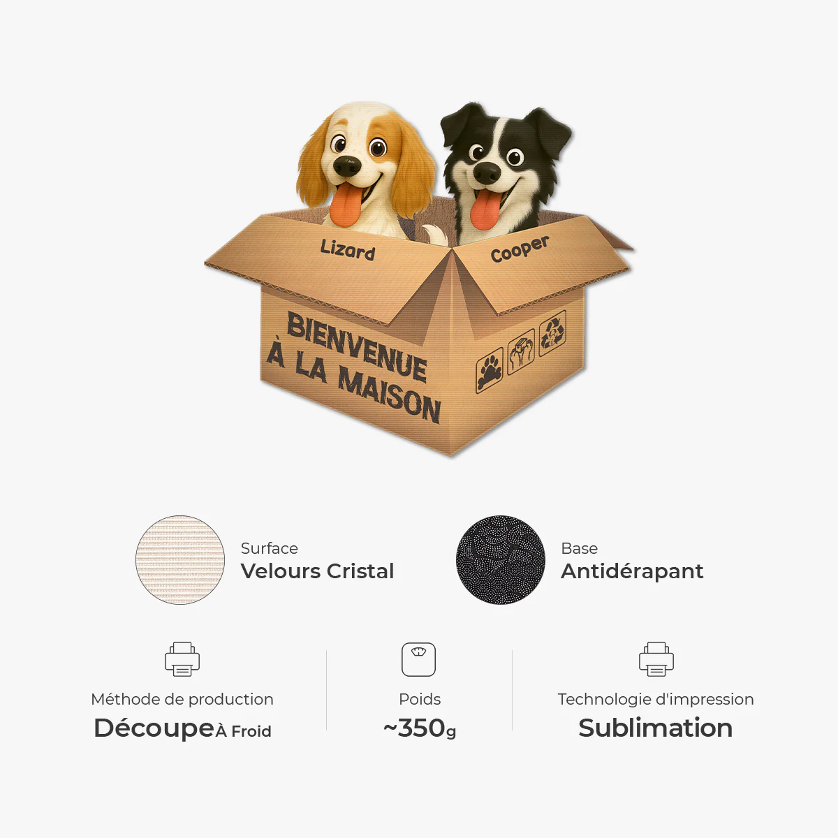 Paillasson Chien Personnalisé À Forme Découpée - Bienvenue À La Maison - Image 4