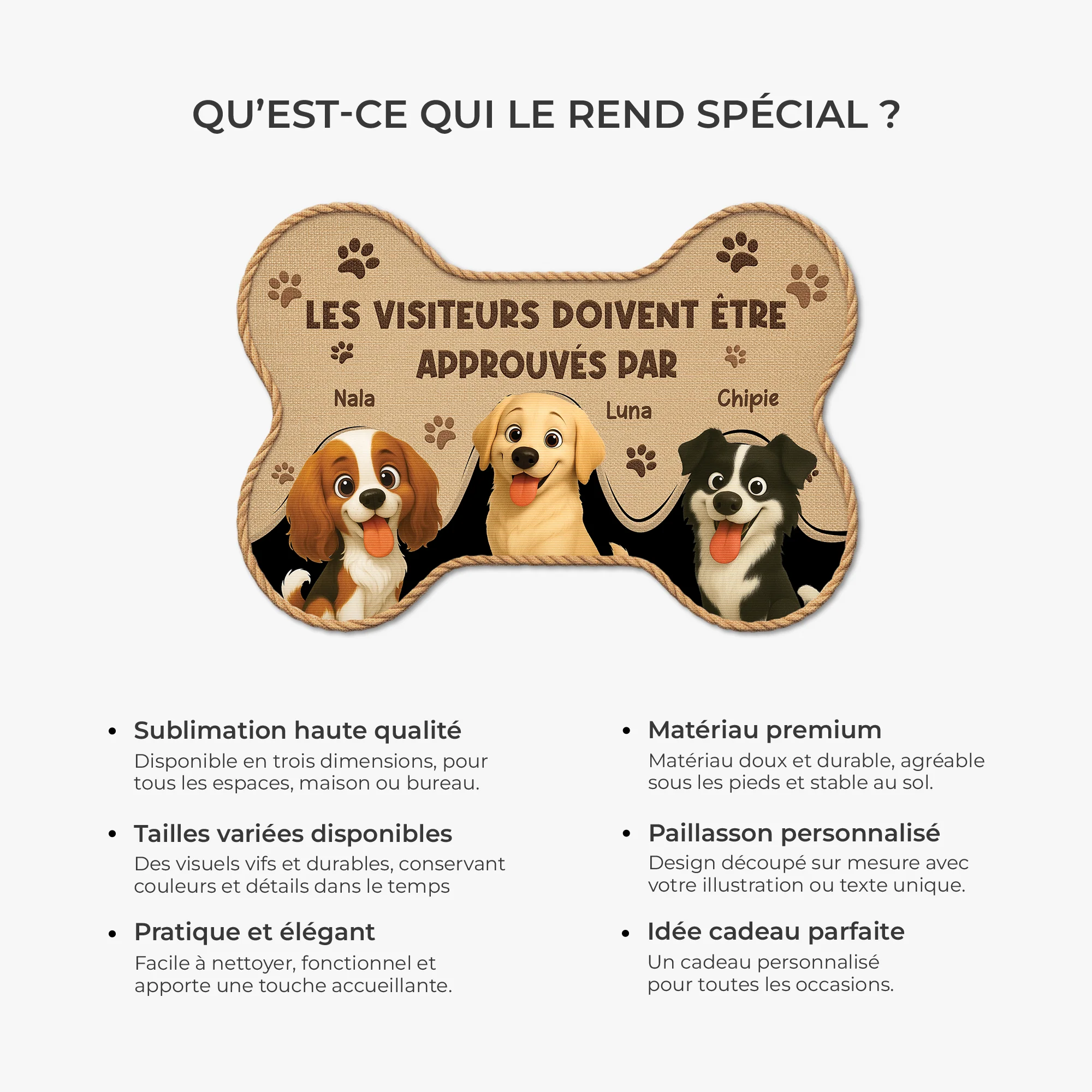 Paillasson Chien Personnalisé À Forme Originale - Visiteurs Approuvés Par Chiens - Image 6
