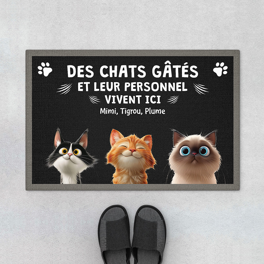 Paillasson Personnalisé Chat – Des Chats Gâtés | Dessin Cartoon