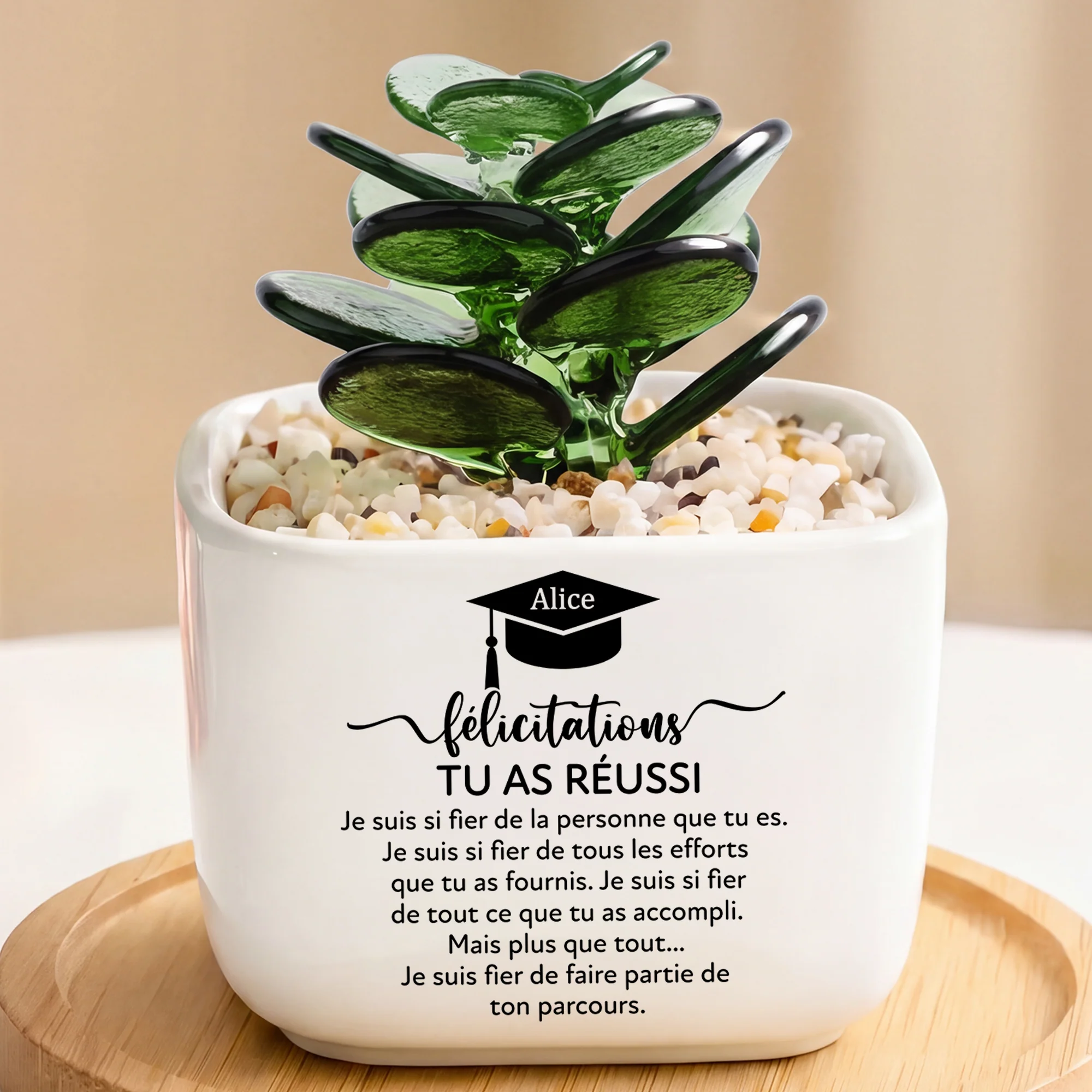 Petit Cactus Artificiel En Verre Avec Pot - Cadeau Remise De Diplôme Femme Homme