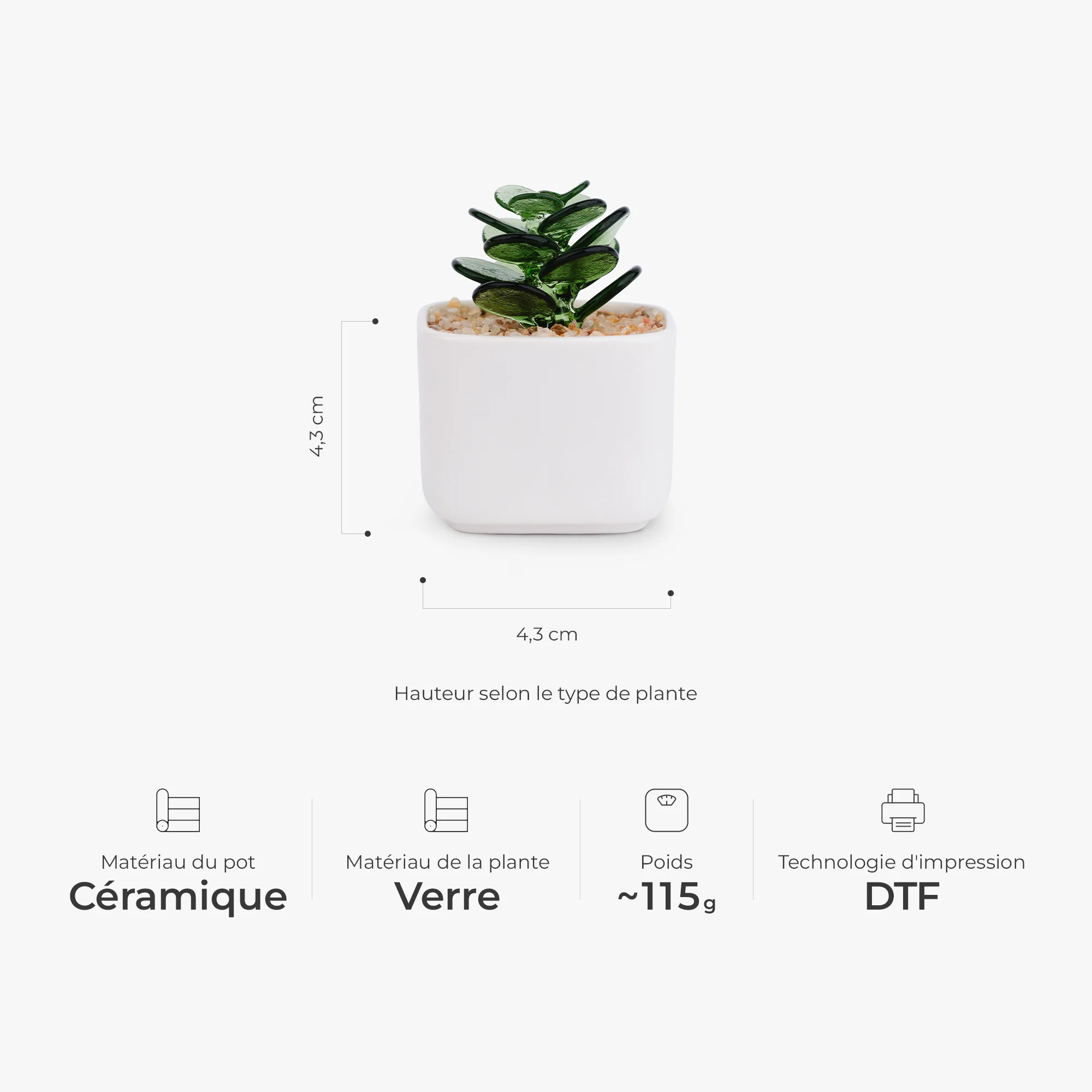 Cactus Artificiel En Pot En Verre - Le Jardin De Maman Mamie - Image 3