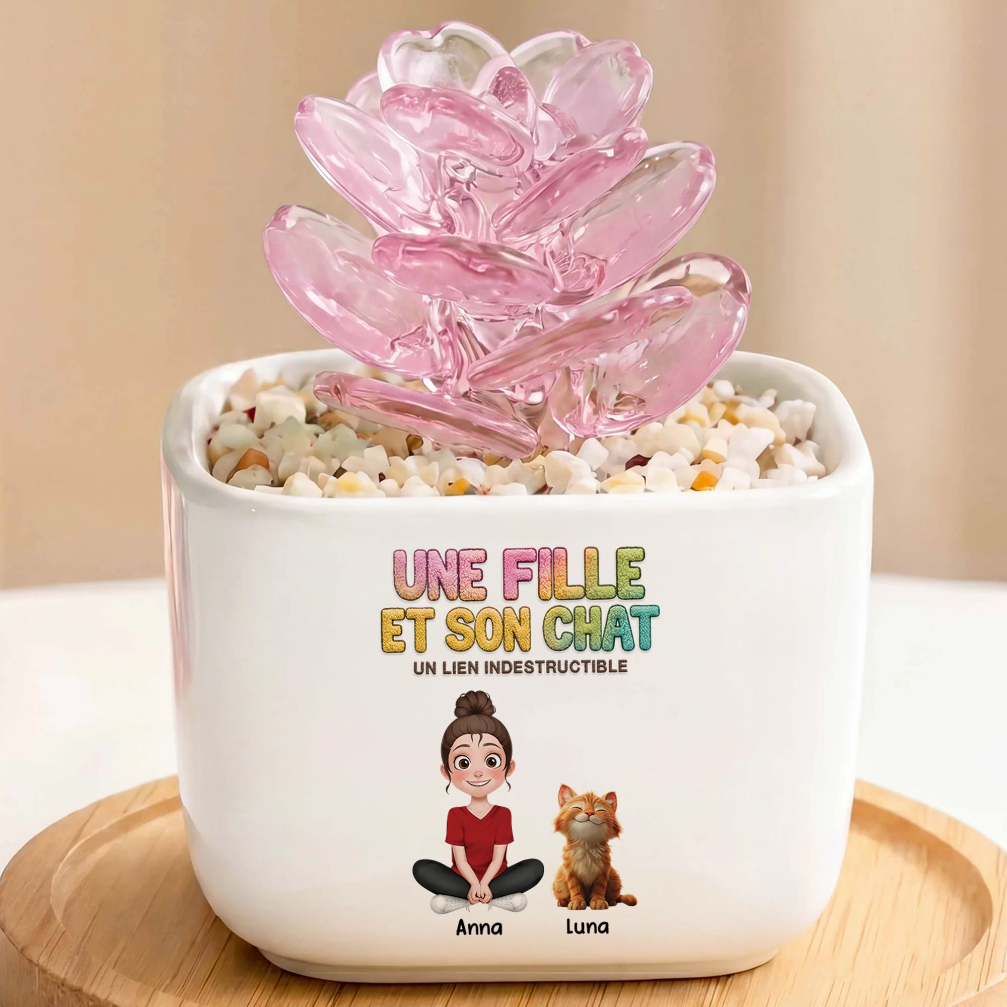 Petit Cactus Artificiel En Verre Avec Pot - Lien Entre Fille Et Son Chat