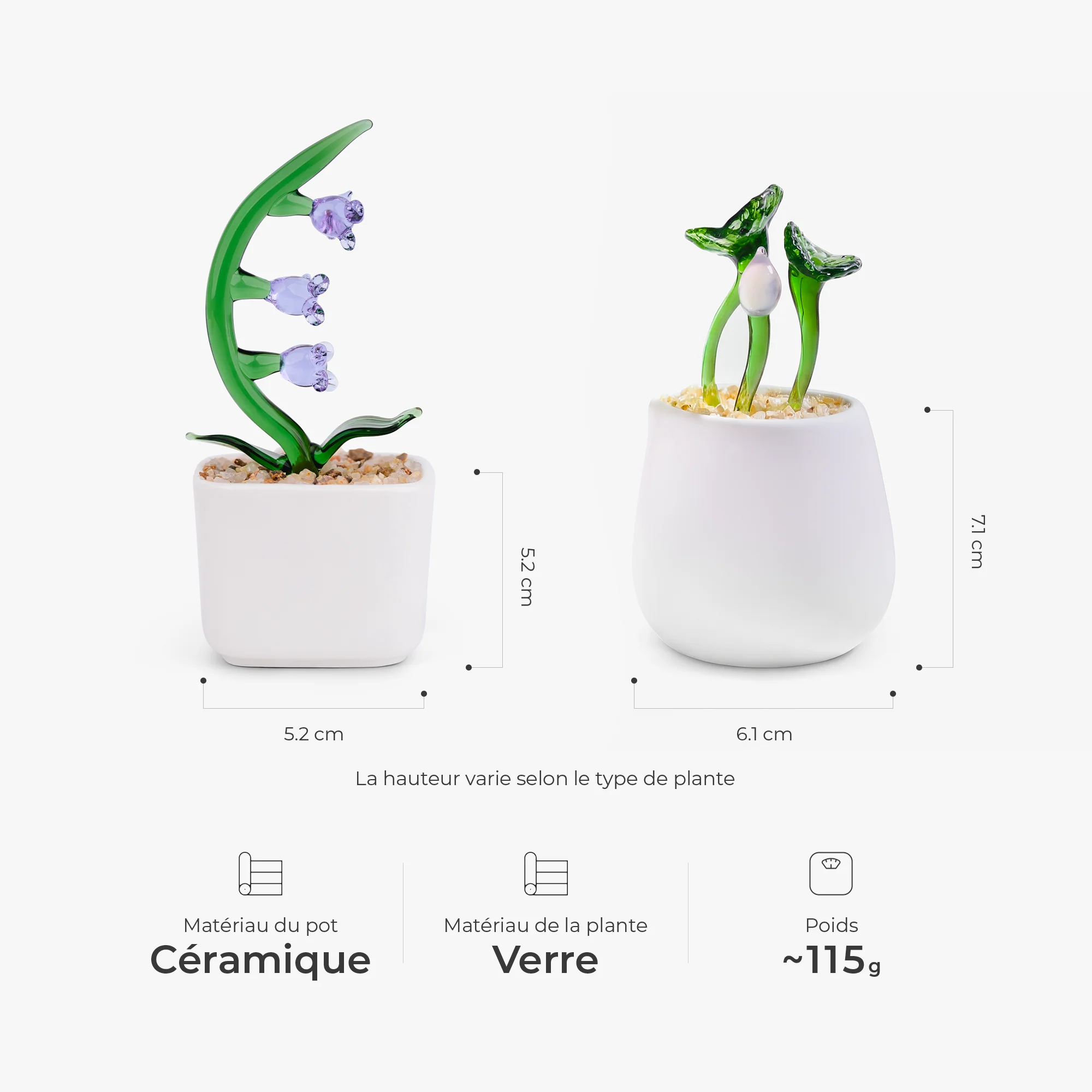 Plante En Verre Artisanale En Pot - Cadeau Original Pour Femme - Image 3
