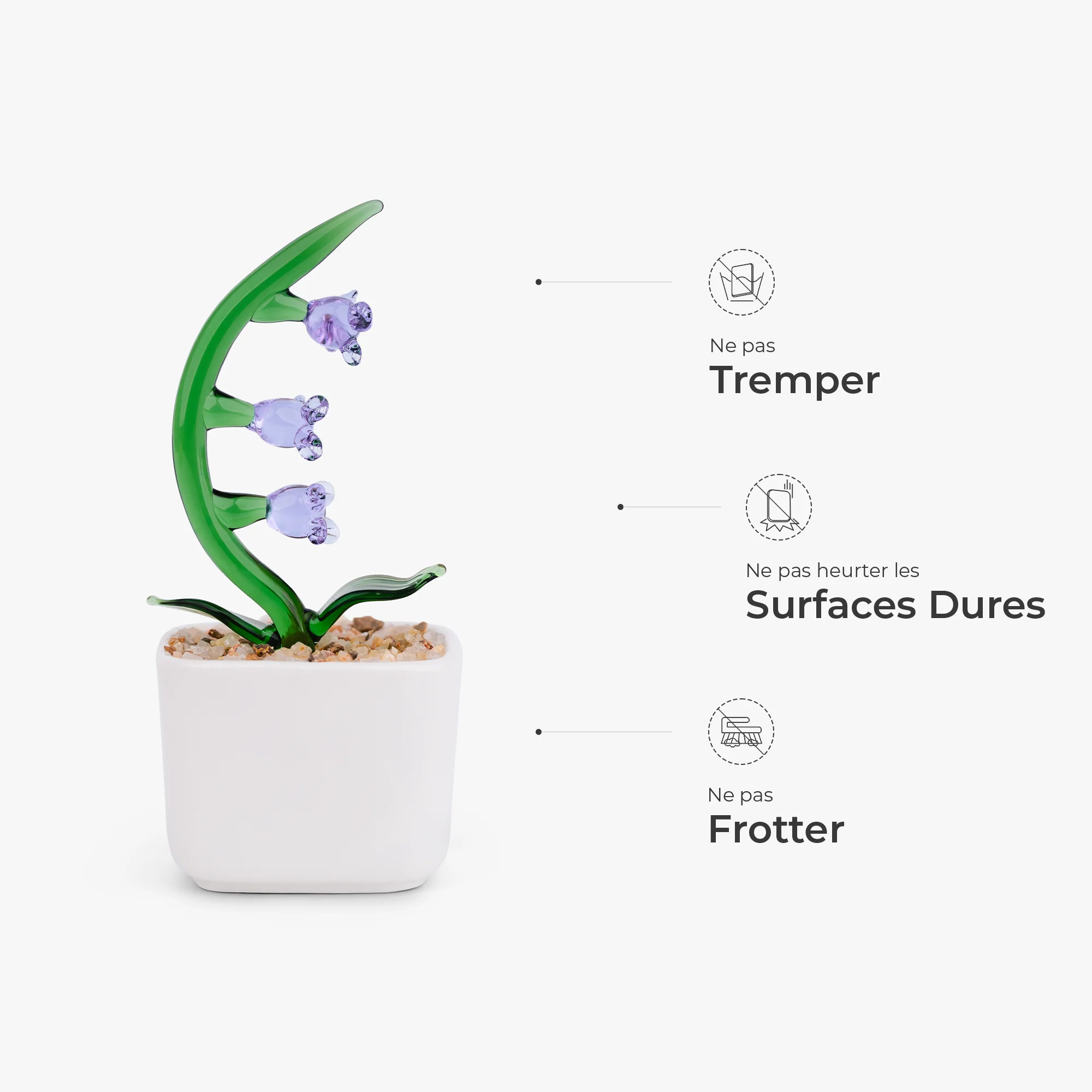 Plante En Verre Artisanale En Pot - Cadeau Original Pour Femme - Image 6