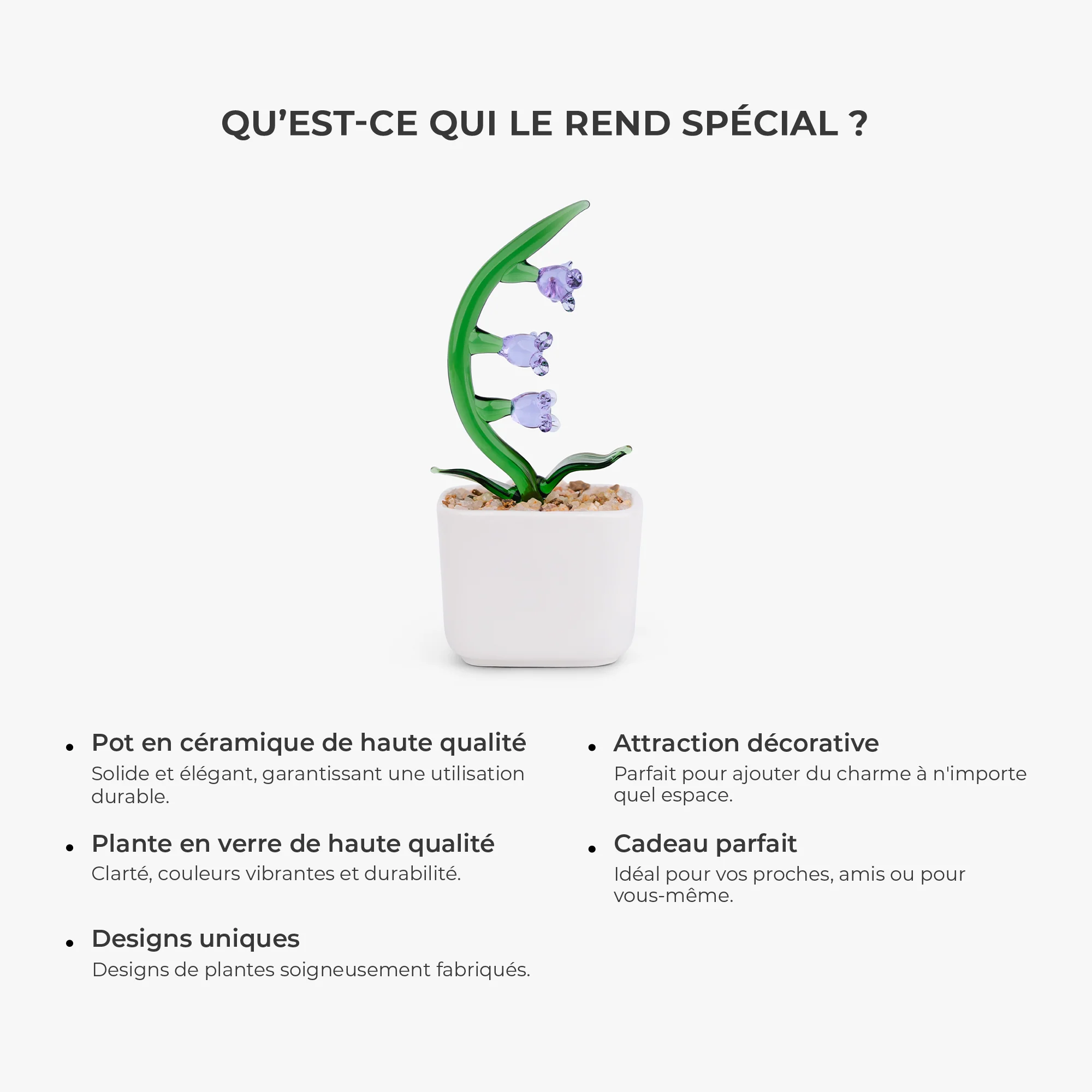 Plante En Verre Artisanale En Pot - Cadeau Original Pour Femme - Image 7