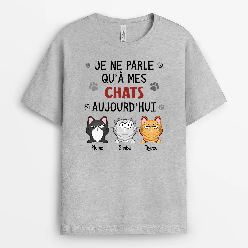 Tee Shirt Avec Des Chat Personnalisé | Je Ne Parle Qu'à Mes Chats Aujourd'hui - Image 2