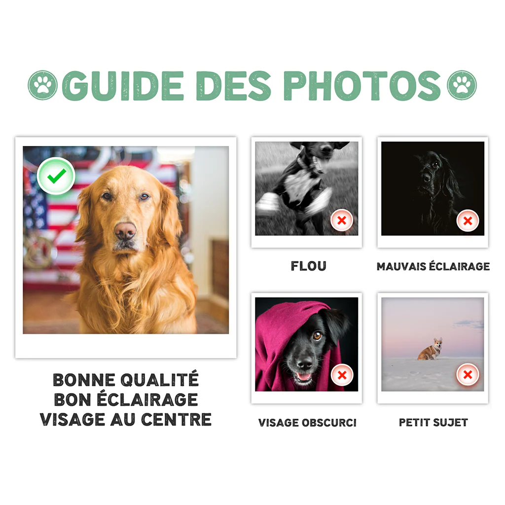 Tapis Personnalisé Chien Et Chat | Tous Les Visiteurs - Image 3