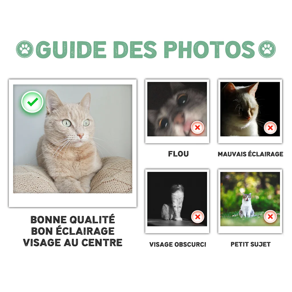 Tapis Personnalisé Chien Et Chat | Tous Les Visiteurs - Image 4