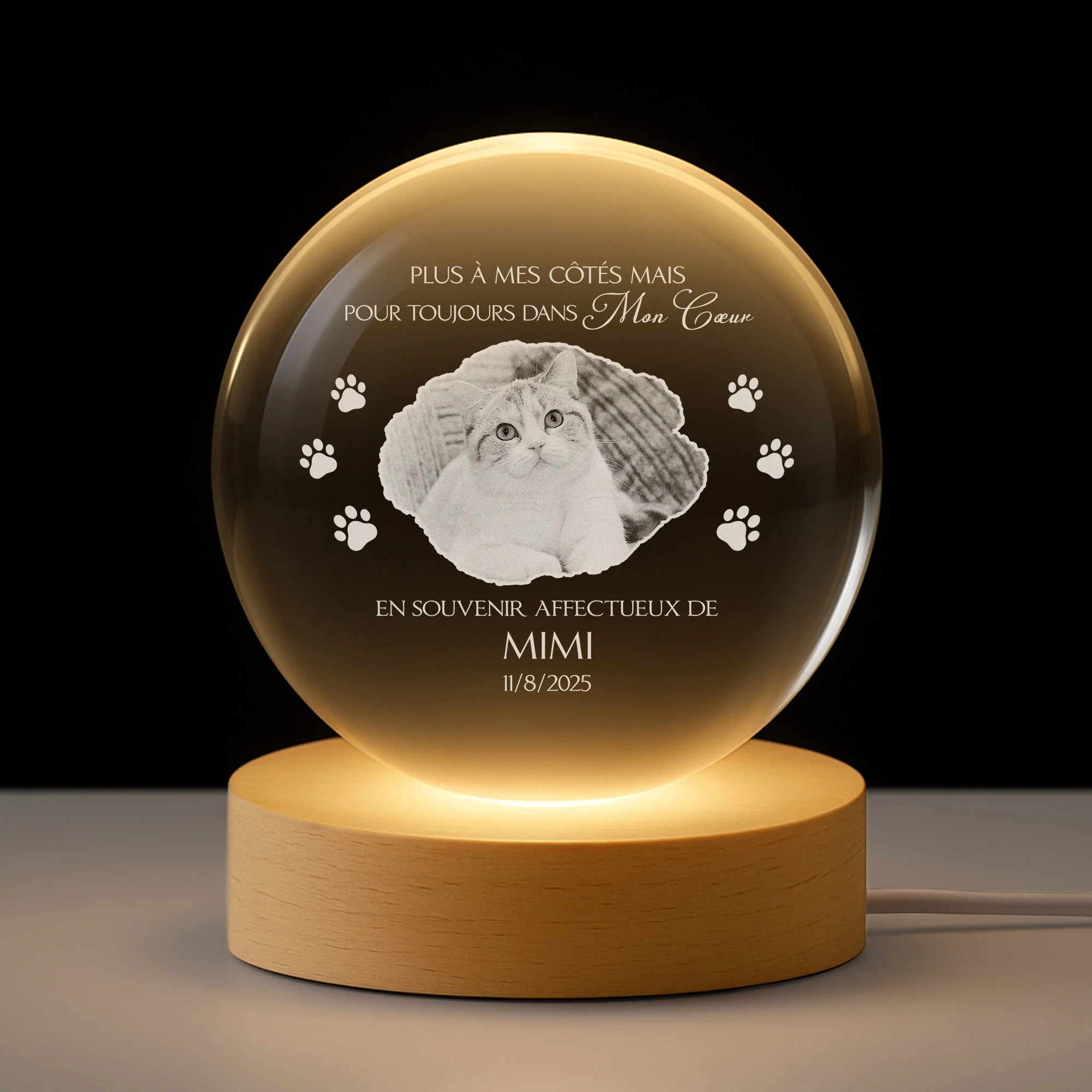 Veilleuse Boule De Cristal Personnalisée Avec Photo Commémorative - Chat Toujours Dans Mon Cœur