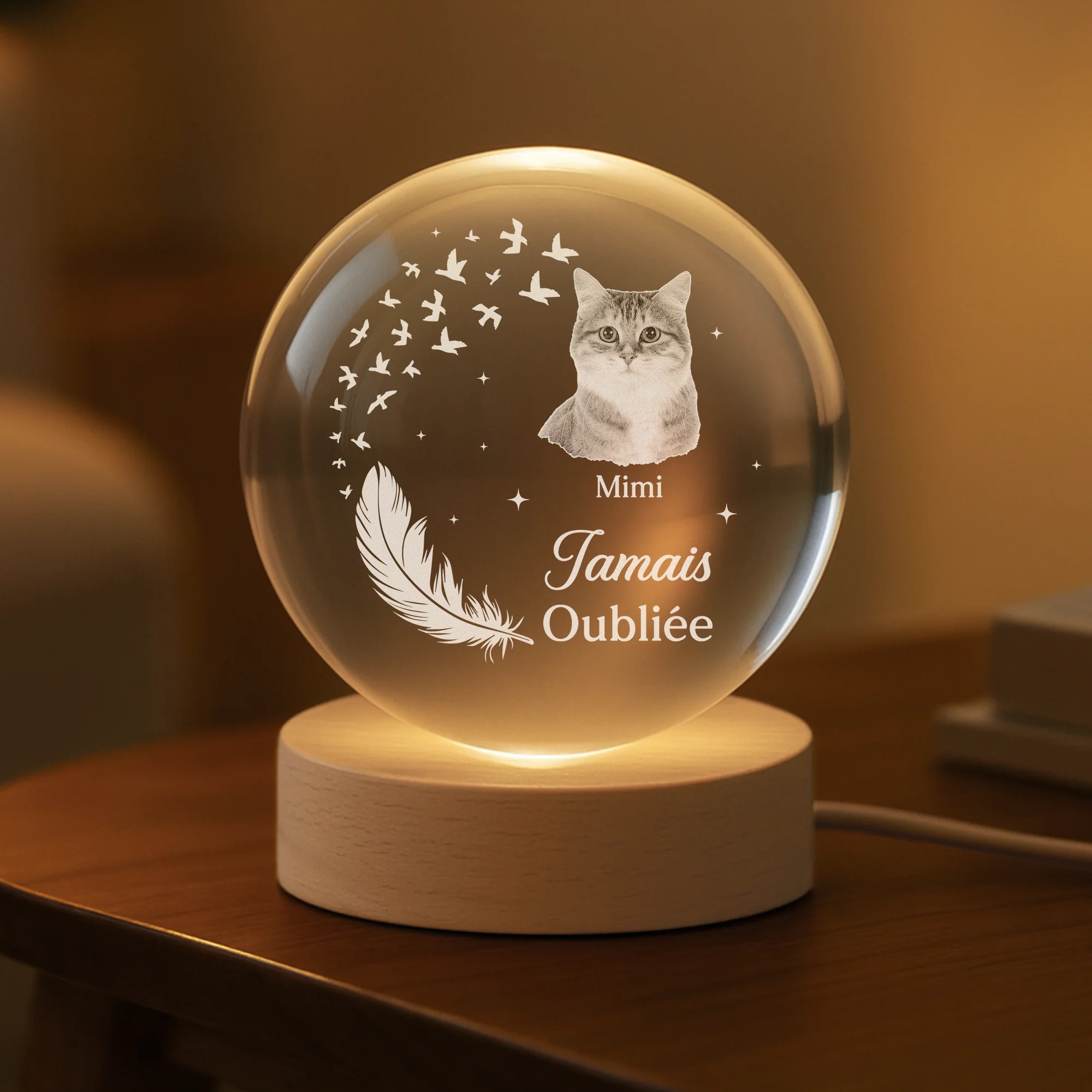 Veilleuse Boule De Cristal Personnalisée Commémorative Photo - Mon Petit Chien Et Chat