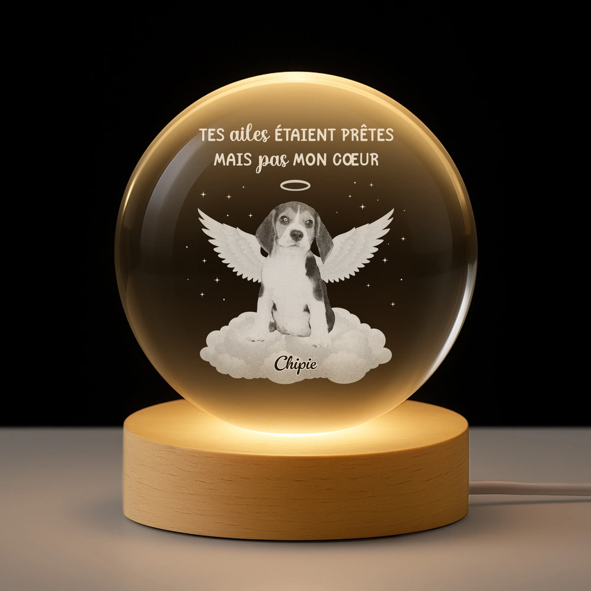 Boule de Cristal Personnalisée – Tes Ailes Étaient Prêtes | Veilleuse 3D Commémorative