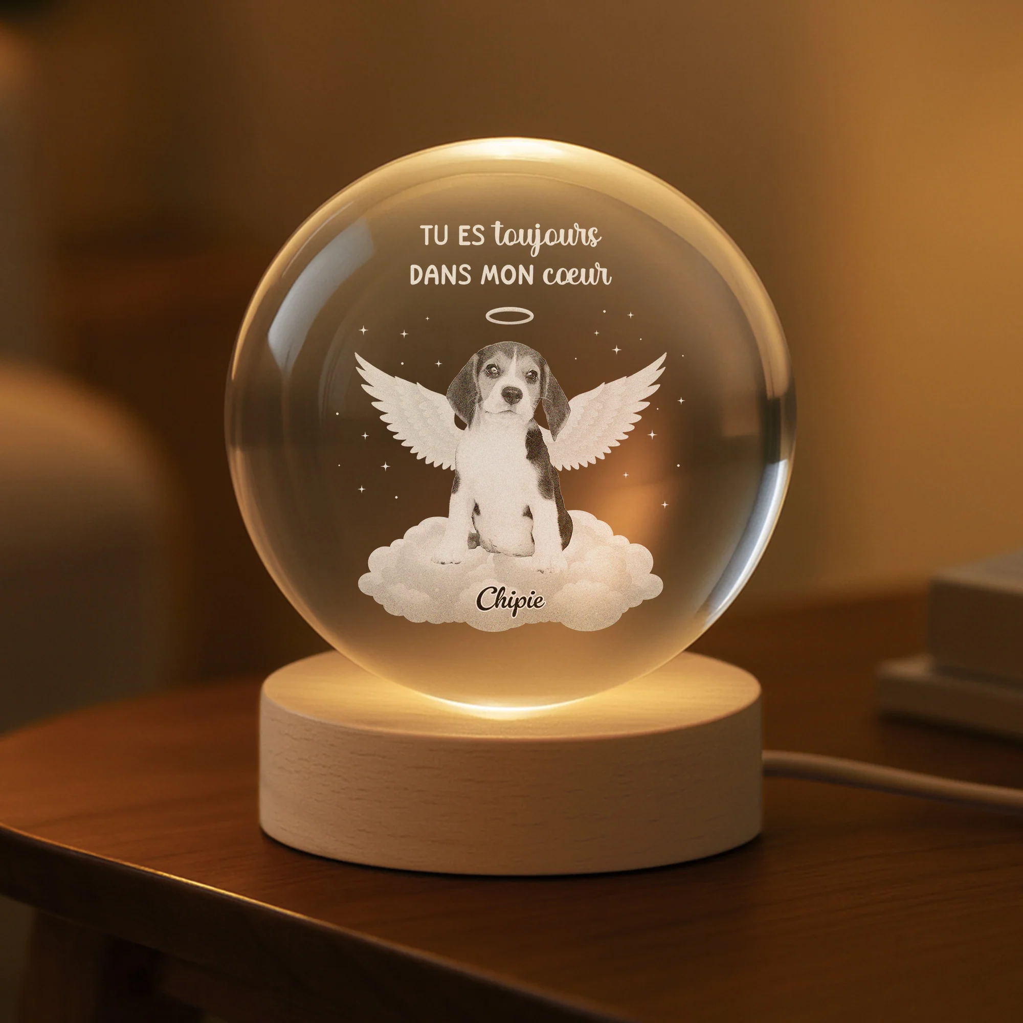 Boule de Cristal Personnalisée – Tes Ailes Étaient Prêtes | Veilleuse 3D Commémorative - Image 2